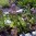 dsc00001_1.jpg