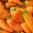 paprika-hamik-hortikomplex-9-2007-040_1.jpg